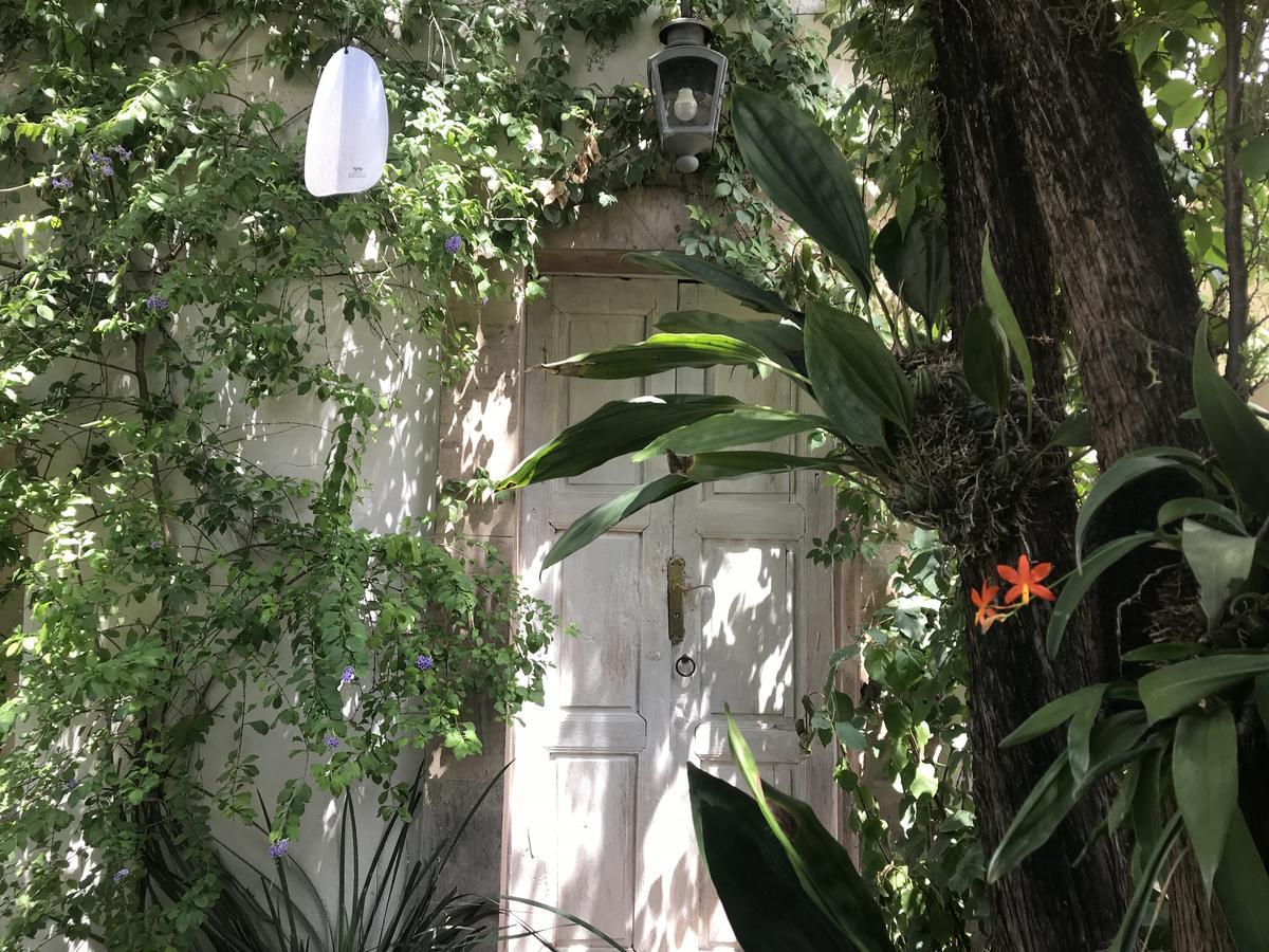 Hotel Fk San Miguel de Allende Esterno foto